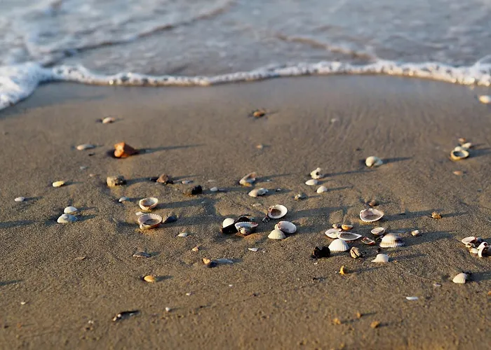 Apartman Coastal Comfort In A Cozy Seaview