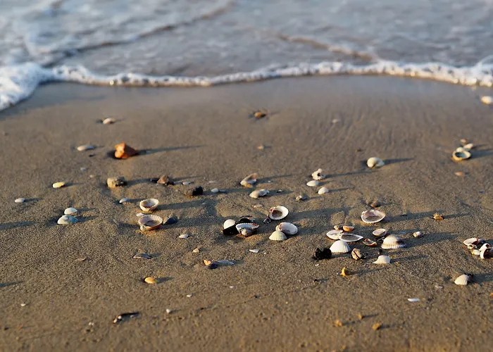 Appartamento Coastal Comfort In A Cozy Seaview *